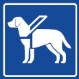 Pies asystujący piktogram